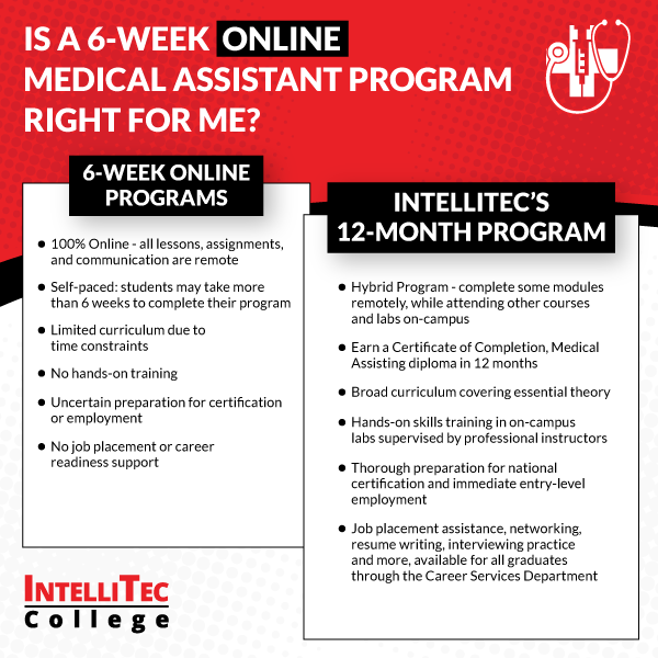 Is A 6 Week Online Medical Assistant Program Right For Me Intellitec